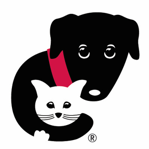 Event Home: Strut for Strays 2021